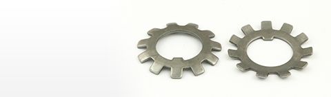 DIN 5406 Шайба стопорная многолапчатая